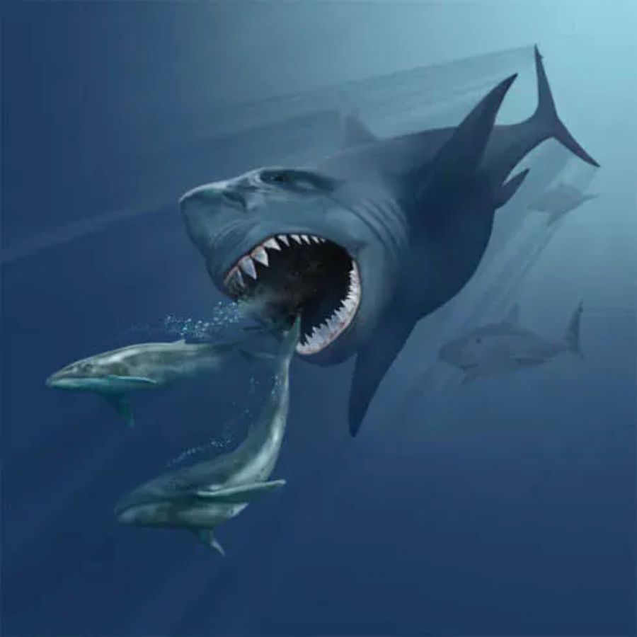 The True Scale of Terror: Megalodon's Predatory Prowess Stuns Scientists