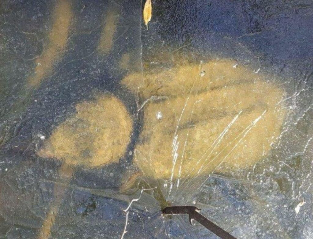 Defying Winter's Grip