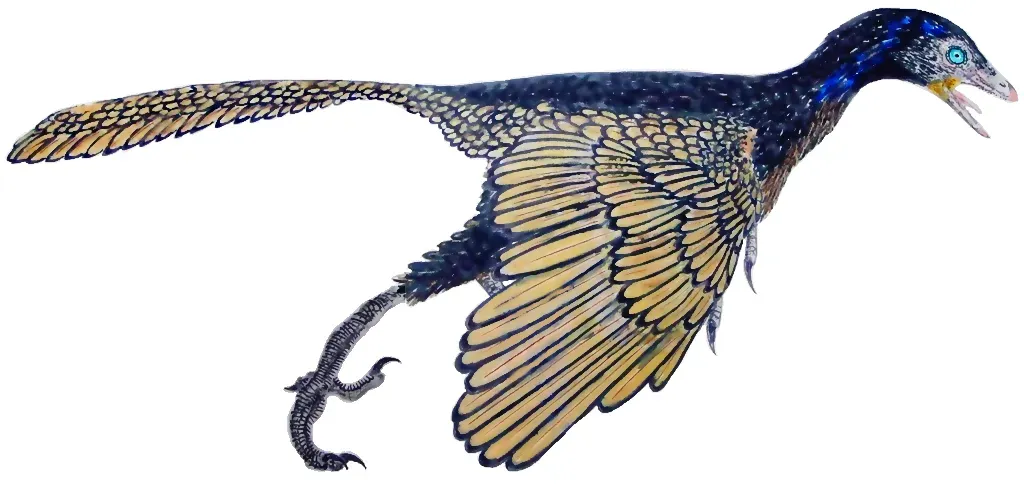 The Evolution of Dinosaur Feathers Was More Diverse Than Previously Thought