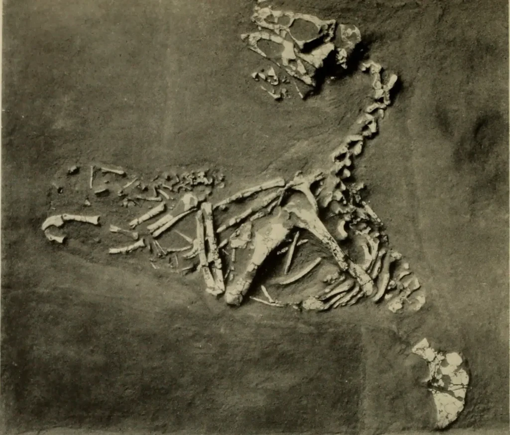 What Secrets Do Unexplored Fossil Sites Still Hold About Dinosaur Evolution?