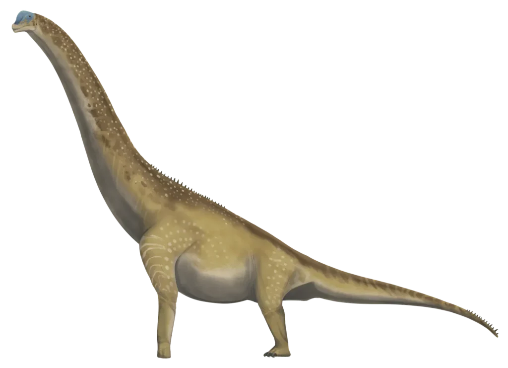 The True Scale of Sauropods: How They Defied Gravity and Dominated Land