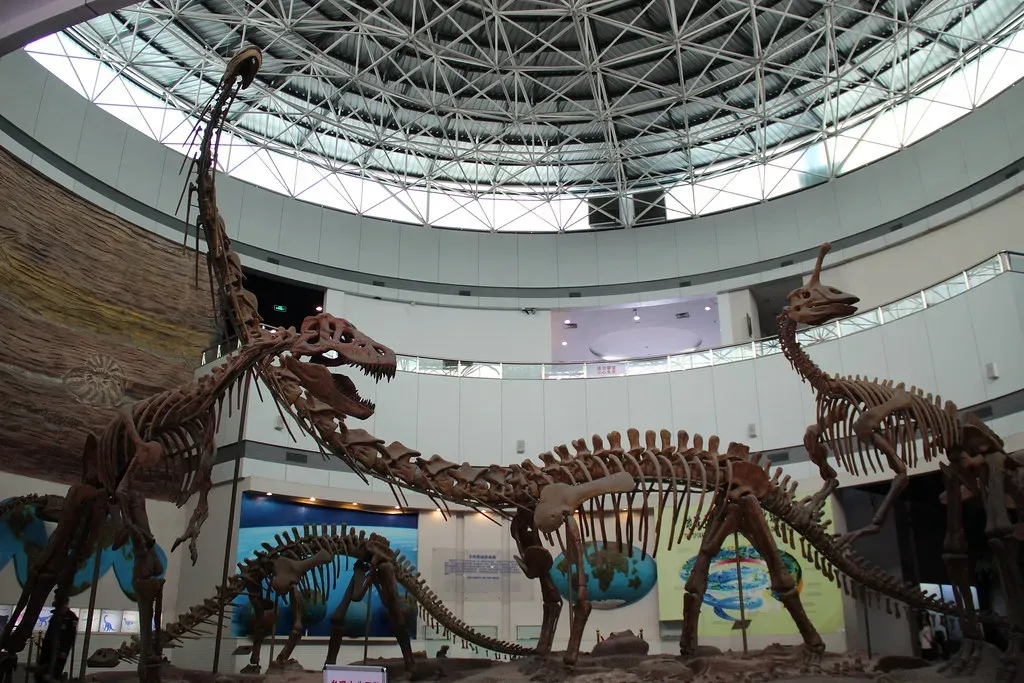 8 Incredible Adaptations That Allowed Dinosaurs to Dominate for Millions of Years