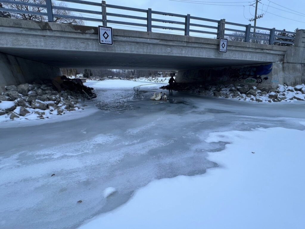 Alert Sparks Urgent Winter Search