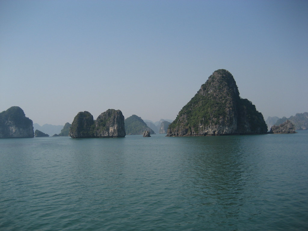 How Climate Variability Became Evolution's Greatest Engine