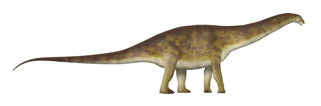 5 Astrological Signs That Share the Unwavering Spirit of an Apatosaurus