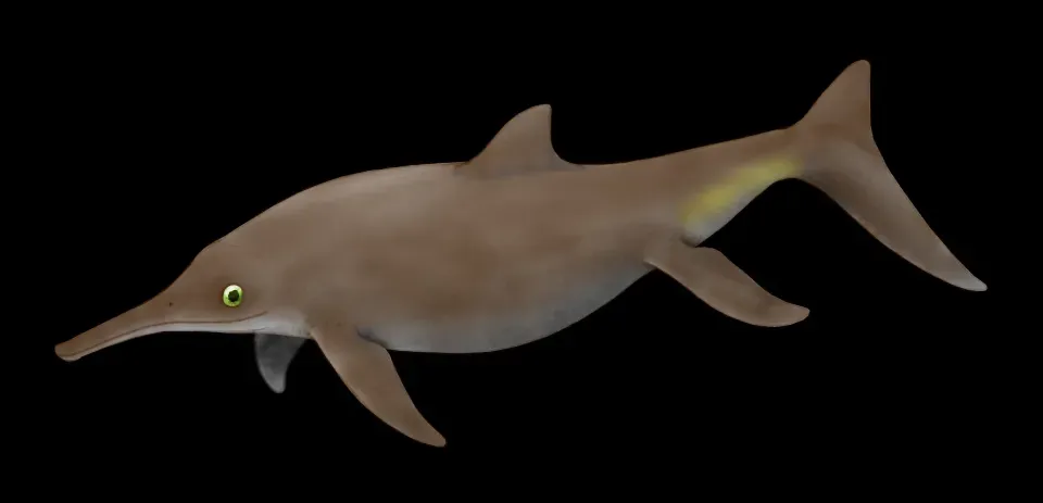 Ichthyosaurs Were the Apex Predators of the Ancient Marine World