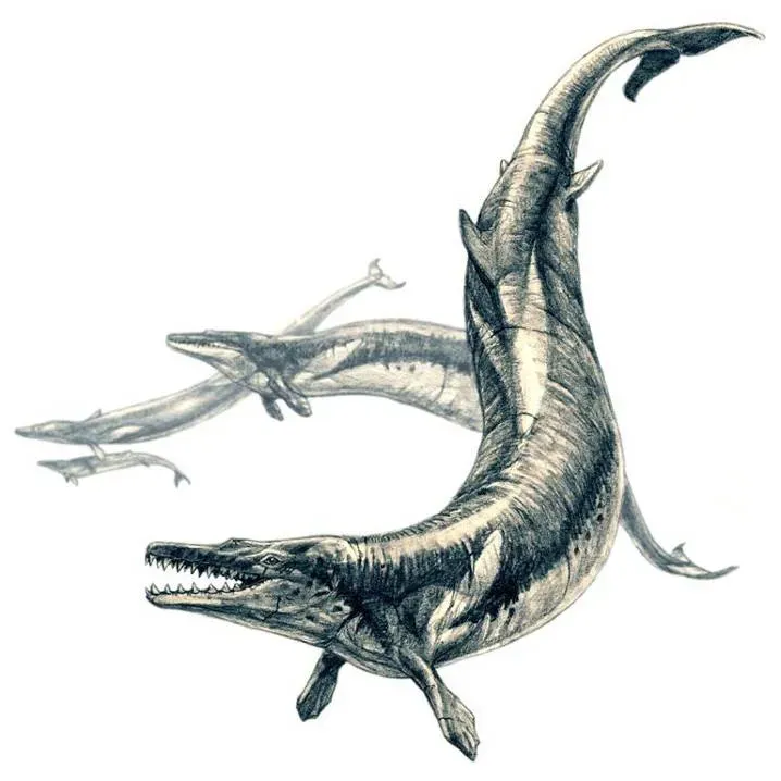 Ancient Sea Monsters: The Dominant Predators of Earth's Early Oceans