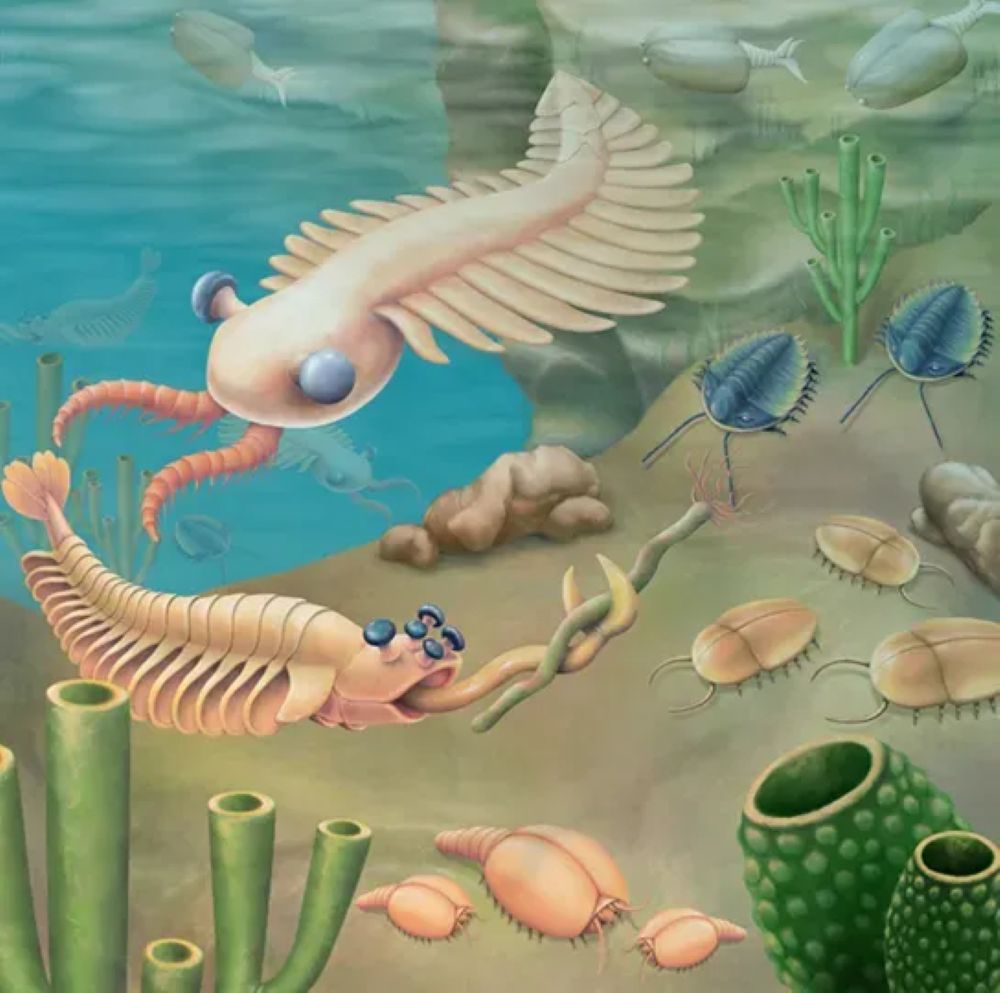 Unraveling the Mysteries of the Cambrian Explosion: Life's Greatest Diversification