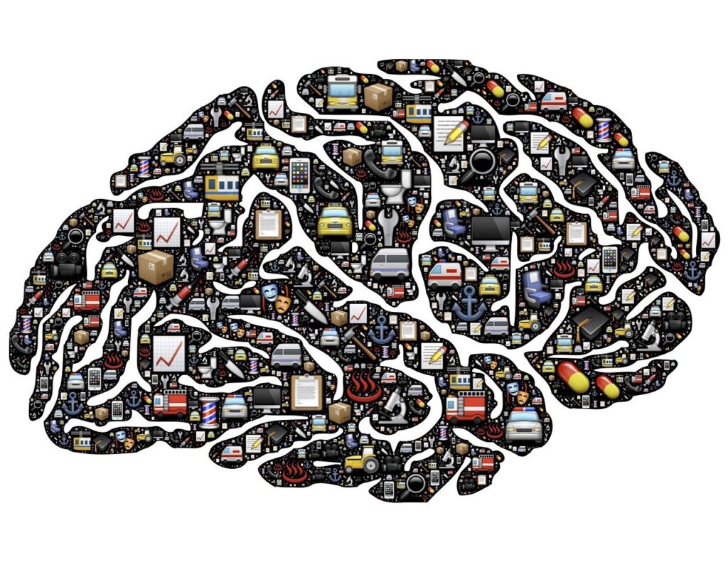 Latest Psychological Research Illuminates Risks, Biases, and Cognitive Quirks