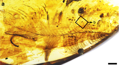 8. The Dinosaur Tail in Amber: A Time Capsule Nobody Expected