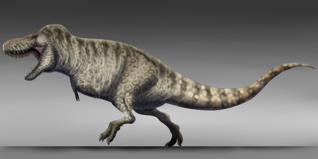 T. Rex Had a Slightly Older Sibling Species in North America 