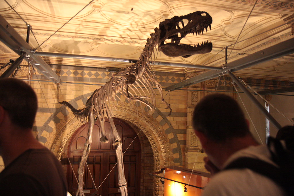 The Skeletal Similarities That First Sparked Suspicion