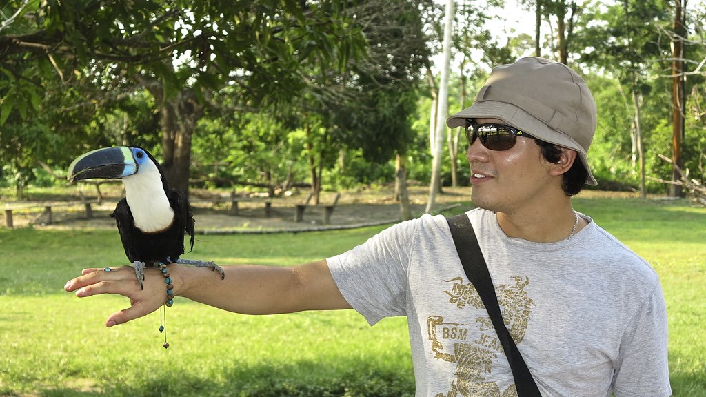 Creativity in Crisis: Art Fuels Wildlife Conservation Activism