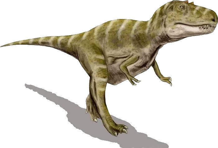 Recent Discoveries Point to Dinosaurs' Sophisticated Sensory Perception