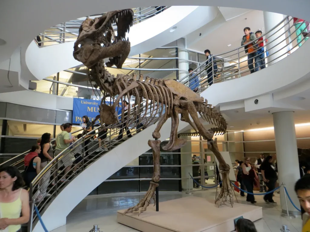 Tyrannosaurus Rex: Its Life Cycle Reveals More About Survival Than We Knew