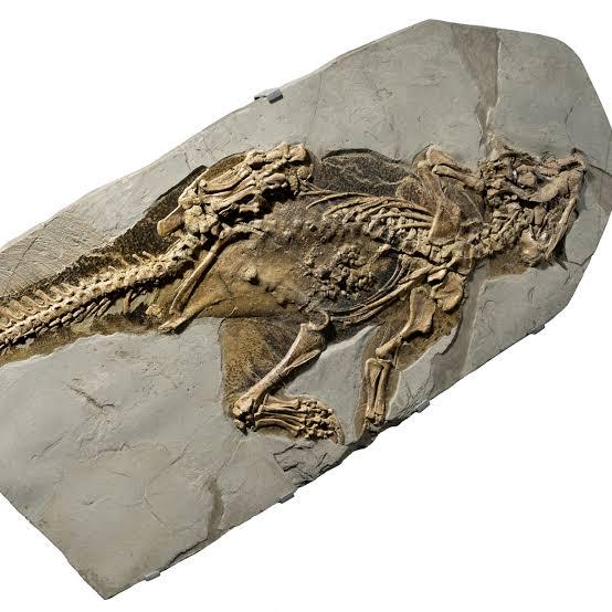 Reading the Shape of Color: How Scientists Decode Ancient Hues 