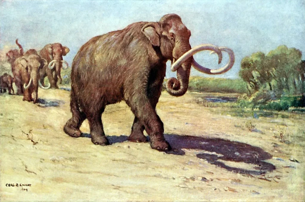 The Enigmatic Megafauna: Giants That Roamed Prehistoric American Landscapes