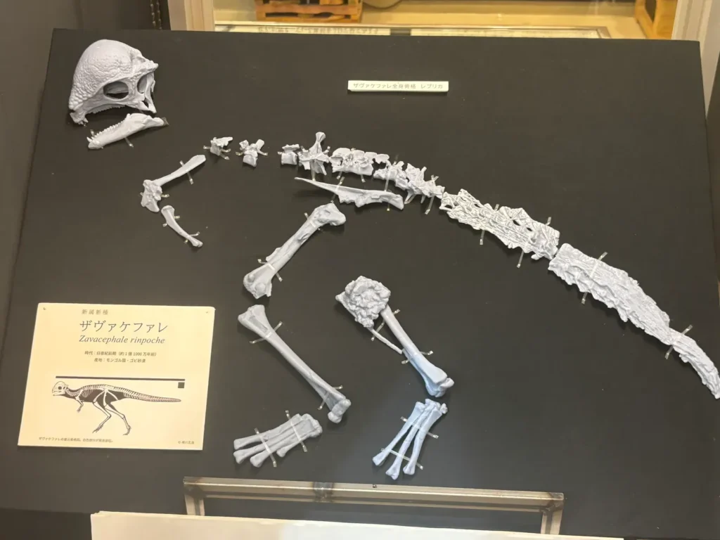 10 Hidden Gems: Unearthing Remarkable Dinosaur Fossils Beyond the T-Rex