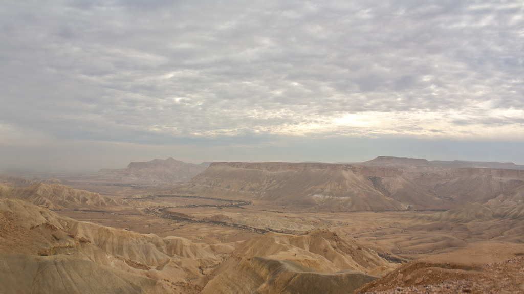 The World Before Dinosaurs: A Harsh Stage Set by Climate 