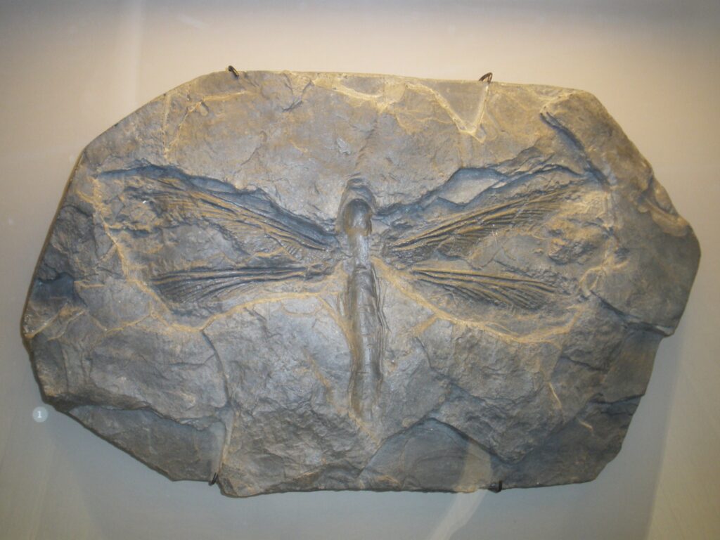 The Dawn of Flight: Uncovering the First Creatures to Soar Through Ancient Skies