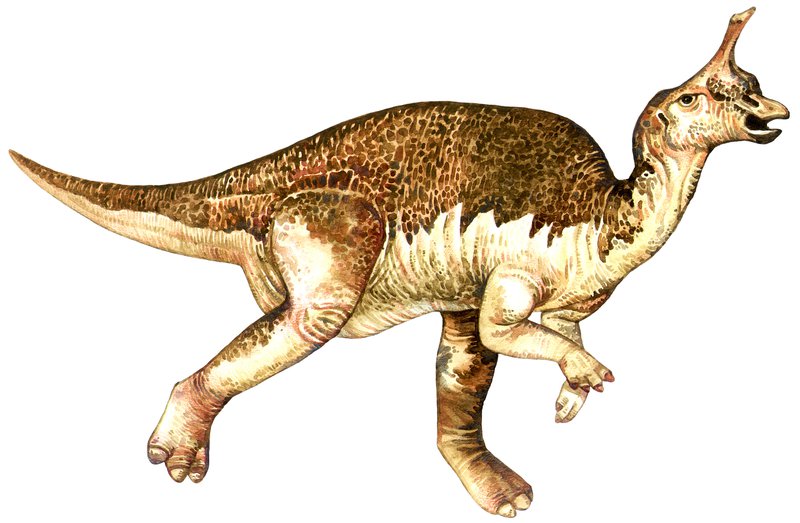 8. Tsintaosaurus: The Dinosaur That Could Actually Talk