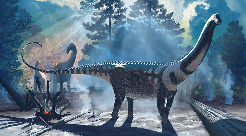 Dystrophaeus: America's First Named Long-Neck 