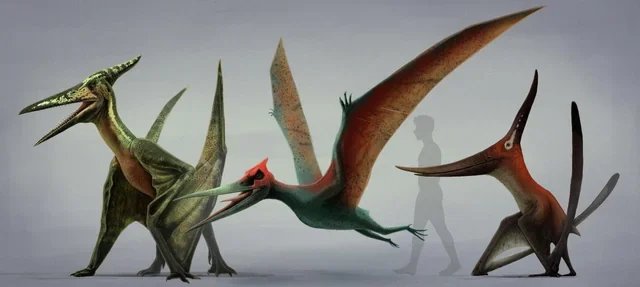 Baby Pterosaurs Could Fly Too, and Science Proves It