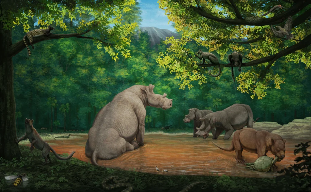 The Eocene Warm Period: When Jungles Reached the Arctic