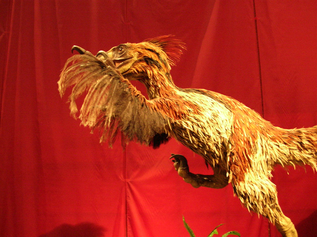 Feathers as Flirtation: Color and the Drama of Dinosaur Mating