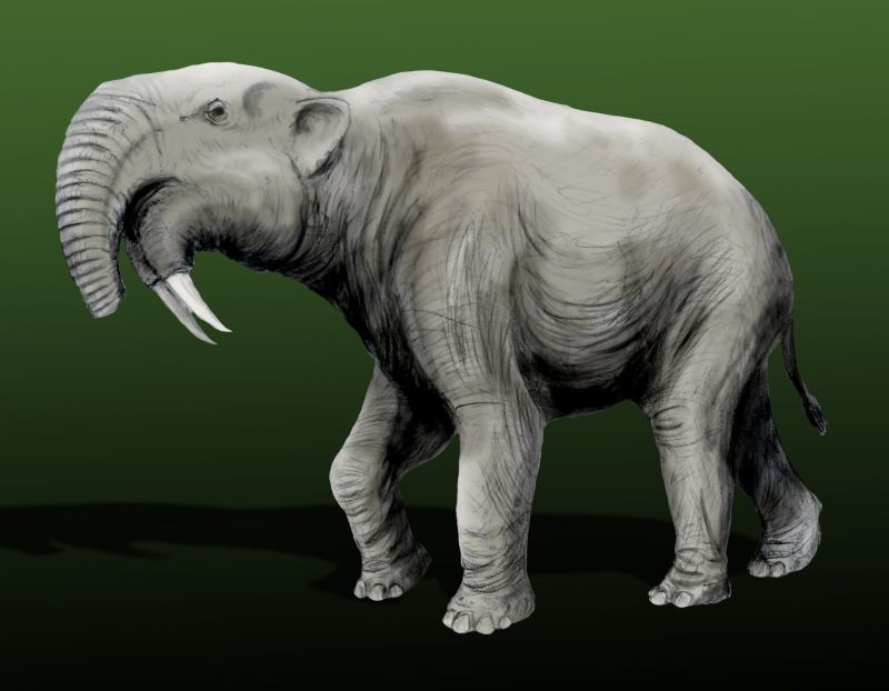 9. Deinotherium: The Ancient Elephant With Backwards-Curving Tusks