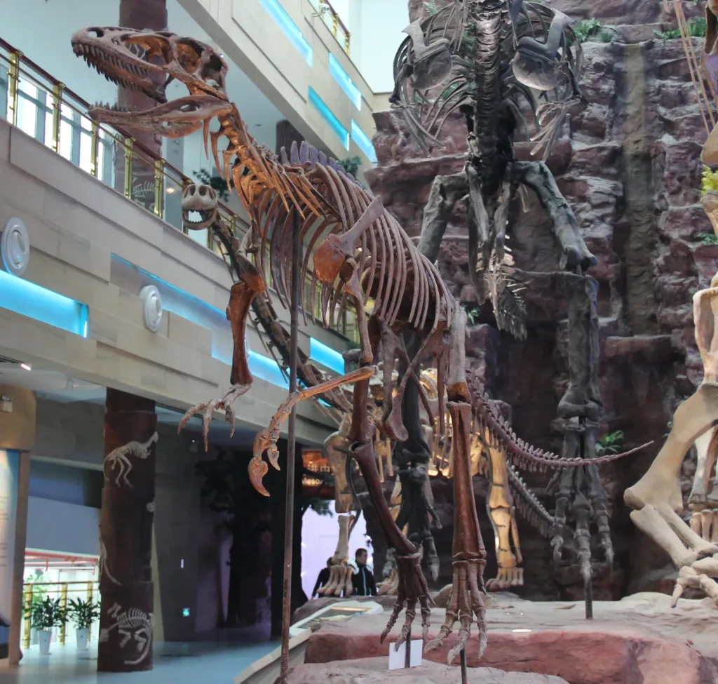 10 Astounding Fossil Discoveries That Rewrote Dinosaur History