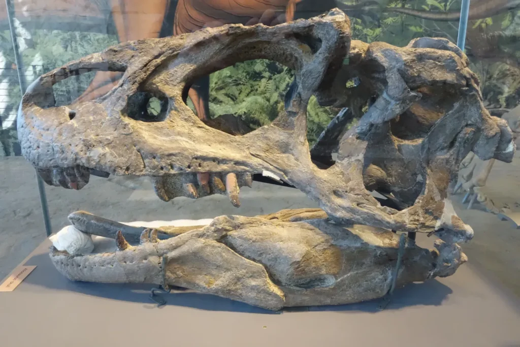 The Enigma of Dinosaur Brains: Smarter Than Scientists Once Believed