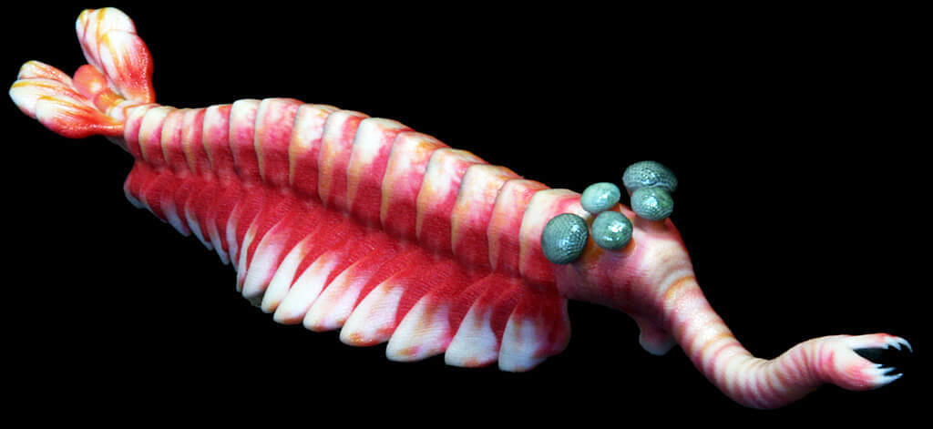 Opabinia: The Five-Eyed Sea Phantom From 505 Million Years Ago