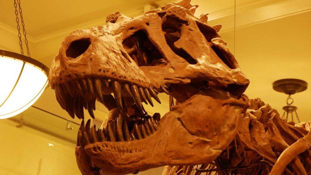 7 Astounding Facts About Dinosaur Brains That Will Surprise You