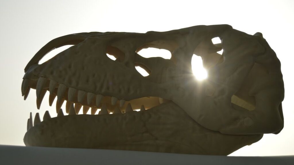 6 Zodiac Signs Whose Resilience Mirrors the Enduring Spirit of Ancient Dinosaurs