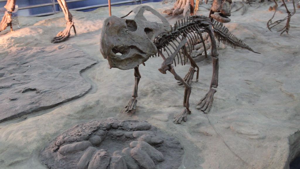 Dinosaur Nurseries: Fossilized Nests Uncover the Intricate Parental Care of Prehistoric Beasts
