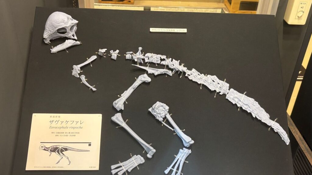 Paradigm Shifts: New Dinosaur Discoveries That Are Upending Paleontological Theories