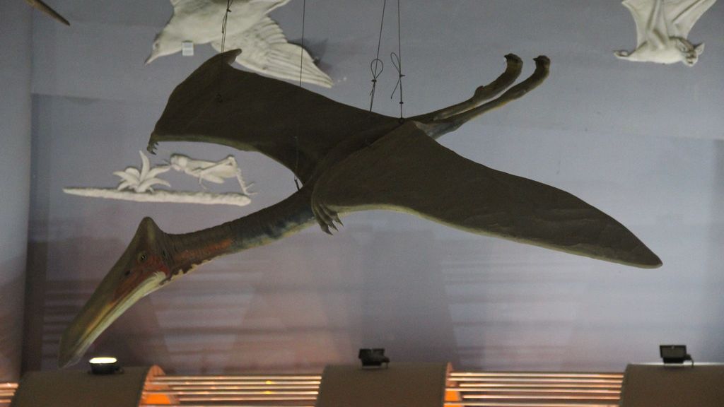 Pterosaurs Ruled the Skies: Uncovering Their Aerial Dominance