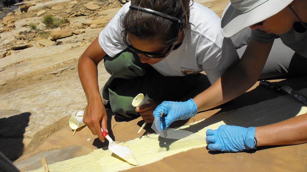 5 Ways Paleontology is Revolutionizing Our Understanding of Prehistoric Life