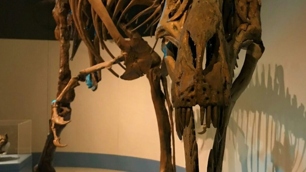 7 Rare Dinosaur Fossils That Rewrote the Rules of Prehistoric Life