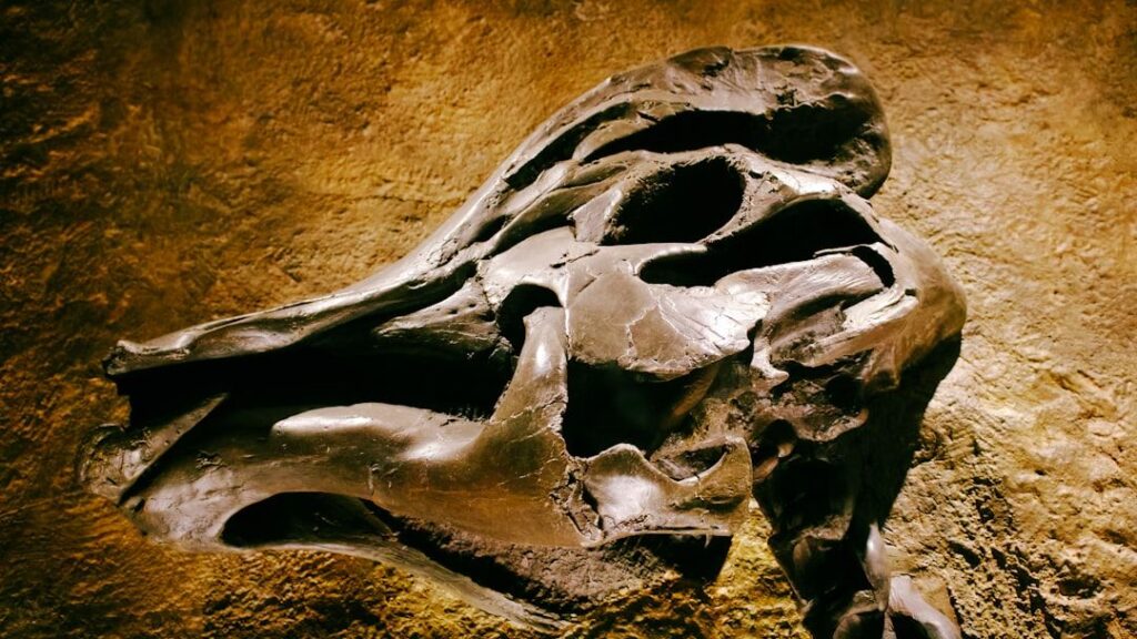 The Fossil Record Reveals a Hidden World of Unprecedented Predation