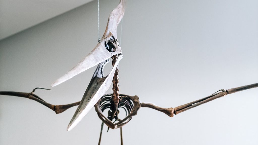 New Paleontological Techniques Are Unlocking Dinosaur Secrets Daily