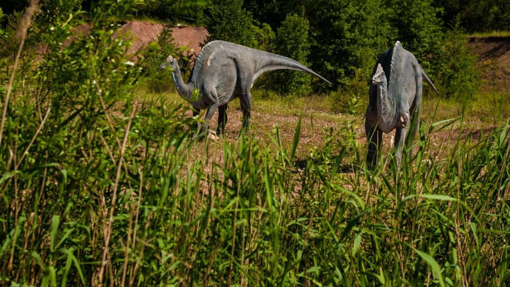 Do Recent Discoveries Point to a More Diverse Mesozoic Ecosystem?