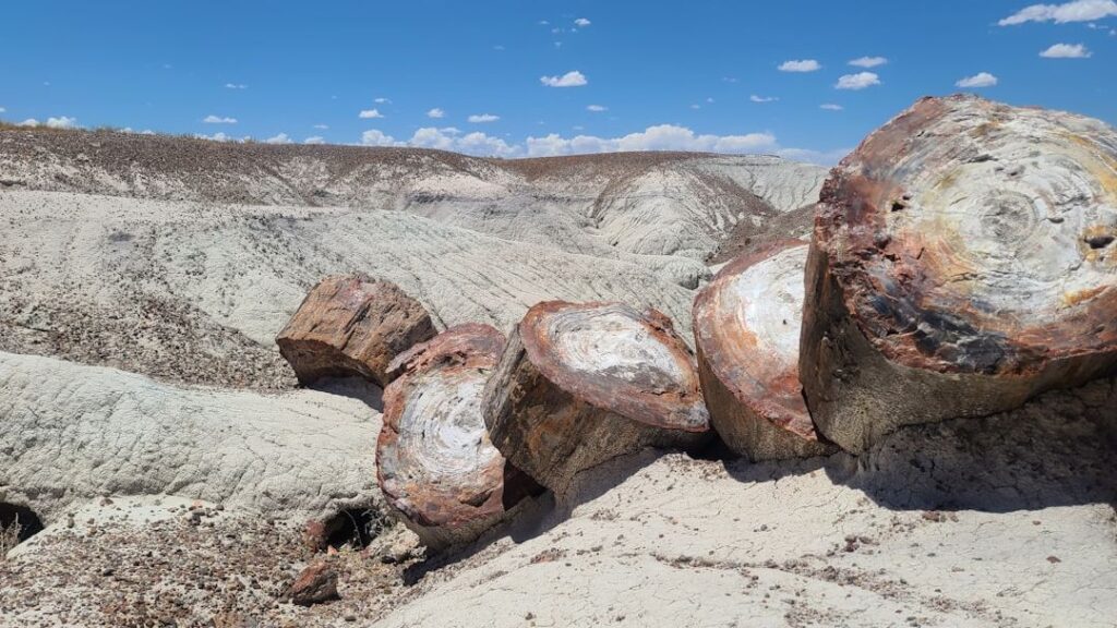 5 Geological Wonders That Shaped the Age of Dinosaurs