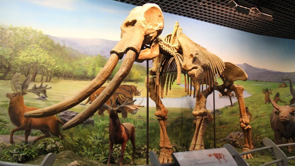 8 US Animals With Surprising Ancestral Ties to Prehistoric Giants