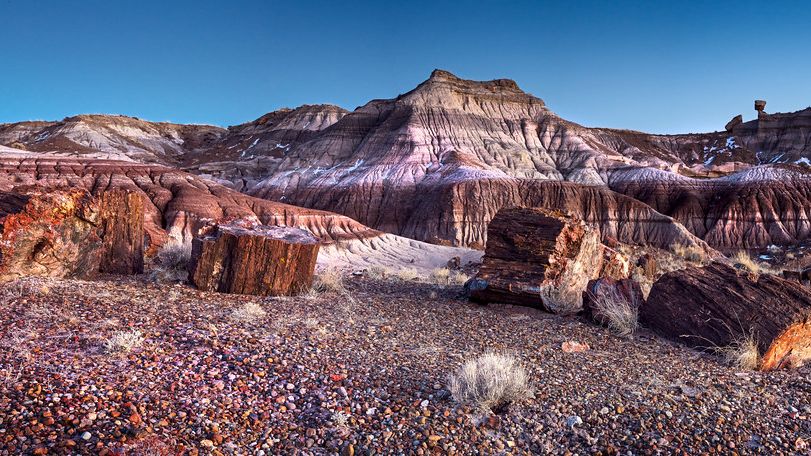 8 US States That Were Once Underwater Dinosaur Havens