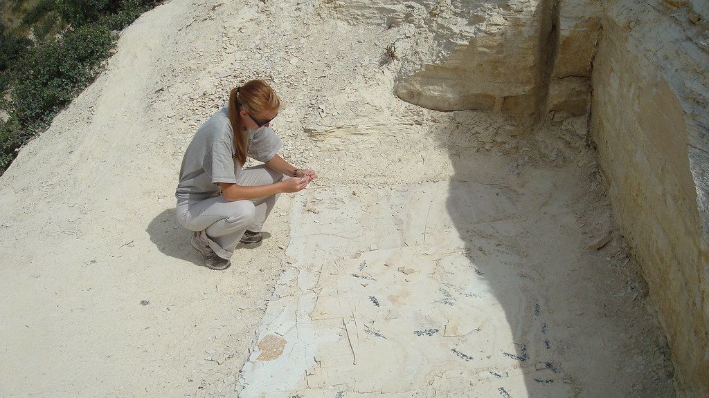 8 Signs You'd Make a Good Paleontologist