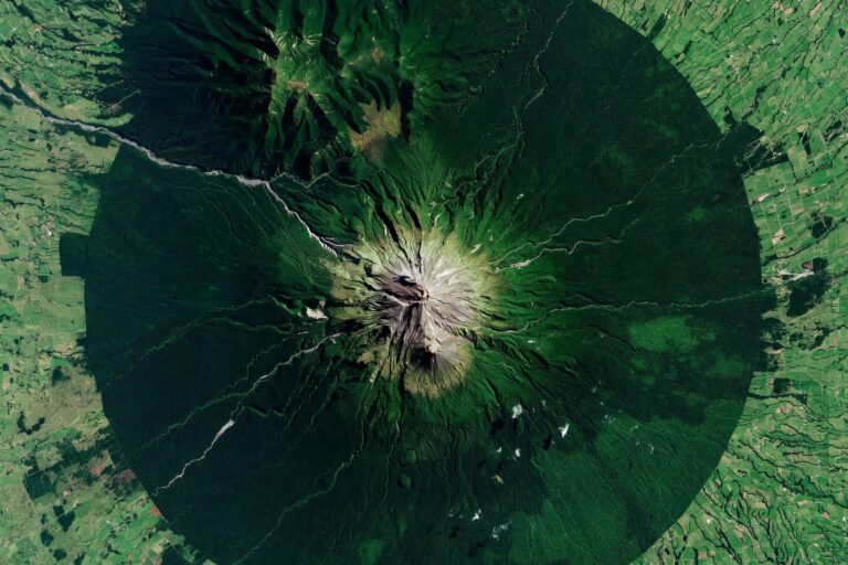 How the ‘wrong story’ ends up harming nature, and how we can change it