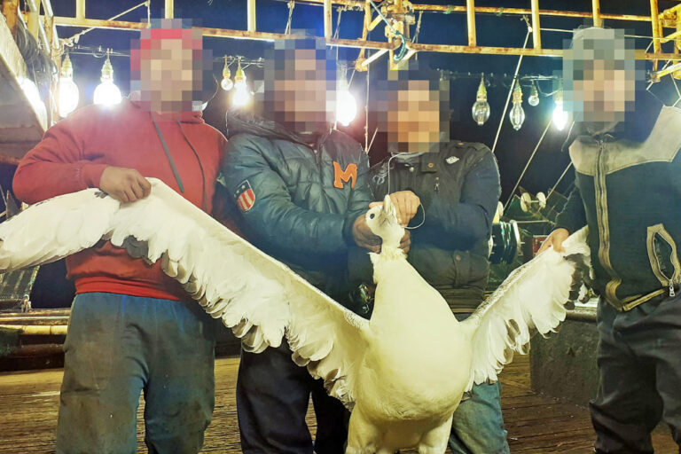 China’s Pacific squid fishery rife with labor, fishing abuses: Report