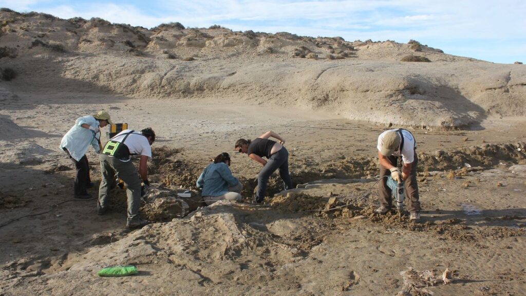 Every Fossil Discovery Rewrites Chapters of Earth's Deep Past